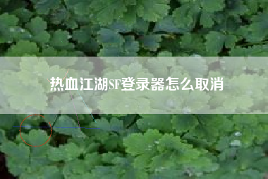 热血江湖SF登录器怎么取消