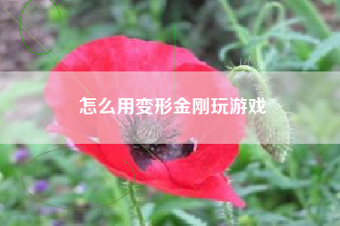 怎么用变形金刚玩游戏