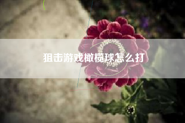 狙击游戏橄榄球怎么打