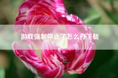 游戏强制停止了怎么办下载