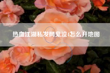 热血江湖私发网鬼泣4怎么开地图