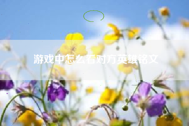 游戏中怎么看对方英雄铭文