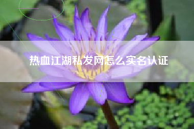 热血江湖私发网怎么实名认证