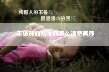 英雄诛仙私发网怎么调整画质