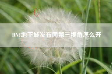 DNF地下城发布网第三视角怎么开
