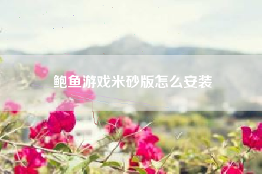 鲍鱼游戏米砂版怎么安装