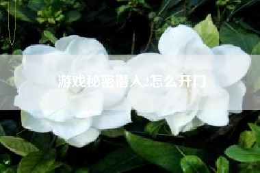游戏秘密潜入2怎么开门