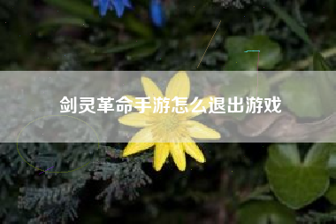 剑灵革命手游怎么退出游戏