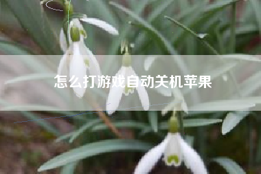 怎么打游戏自动关机苹果