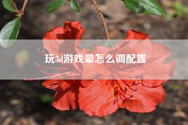 玩3d游戏晕怎么调配置
