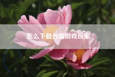 怎么下载台服游戏玩家