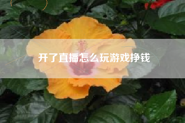开了直播怎么玩游戏挣钱