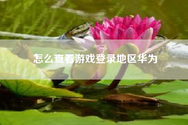 怎么查看游戏登录地区华为