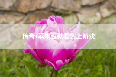 传奇4苹果越狱怎么上游戏