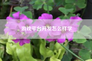游戏平台开发怎么样学