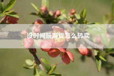 没时间玩游戏怎么转卖
