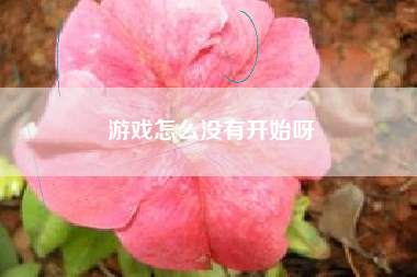 游戏怎么没有开始呀