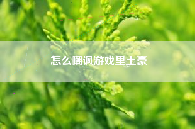 怎么嘲讽游戏里土豪