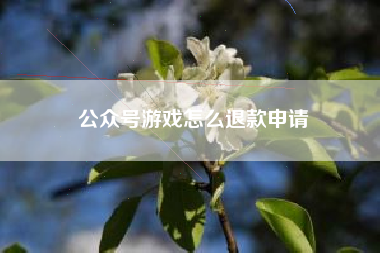 公众号游戏怎么退款申请