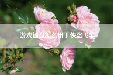 游戏键盘怎么用于侠盗飞车