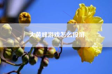 大黄蜂游戏怎么投屏