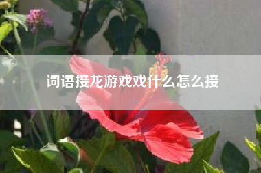 词语接龙游戏戏什么怎么接