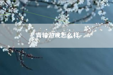 青轴游戏怎么样