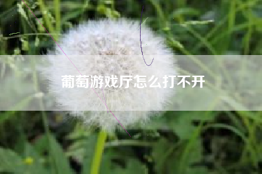 葡萄游戏厅怎么打不开