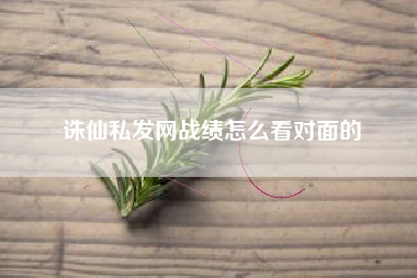 诛仙私发网战绩怎么看对面的