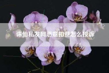 诛仙私发网恶意扣费怎么投诉