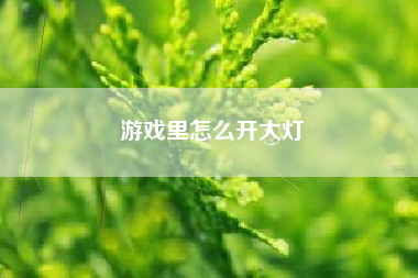 游戏里怎么开大灯