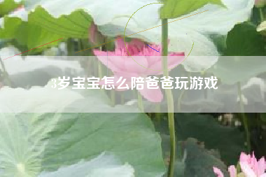 3岁宝宝怎么陪爸爸玩游戏