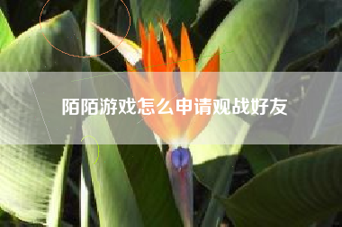 陌陌游戏怎么申请观战好友