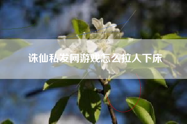 诛仙私发网游戏怎么拉人下床