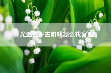 光遇进不去游戏怎么找客服
