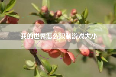 我的世界怎么限制游戏大小