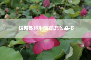 玩游戏返利骗局怎么举报