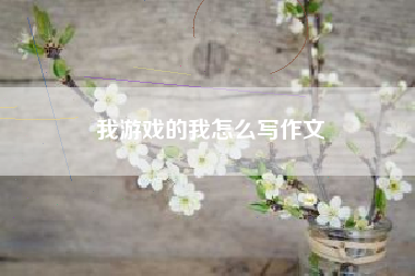我游戏的我怎么写作文