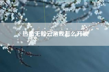 热血无赖云游戏怎么开锁