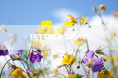 这个游戏怎么进入啊