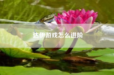 达伊游戏怎么进阶