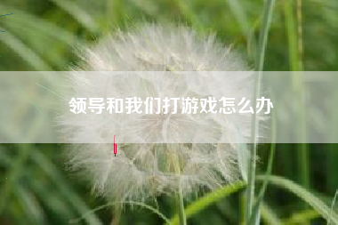 领导和我们打游戏怎么办