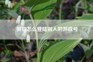 微信怎么登陆别人的游戏号