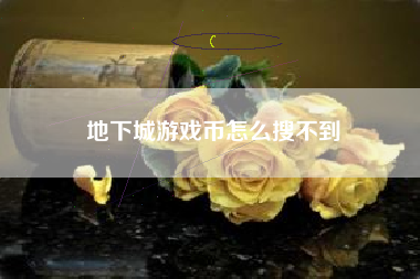 地下城游戏币怎么搜不到