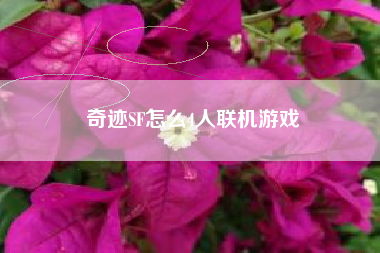 奇迹SF怎么4人联机游戏