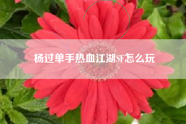 杨过单手热血江湖SF怎么玩
