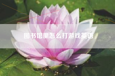 图书馆里怎么打游戏英语