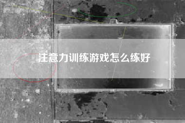 注意力训练游戏怎么练好