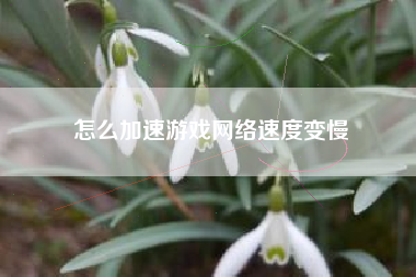 怎么加速游戏网络速度变慢