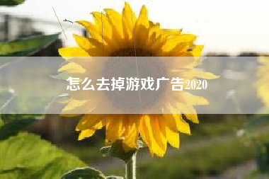 怎么去掉游戏广告2020